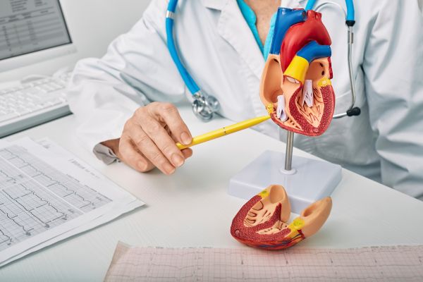 Cardiology