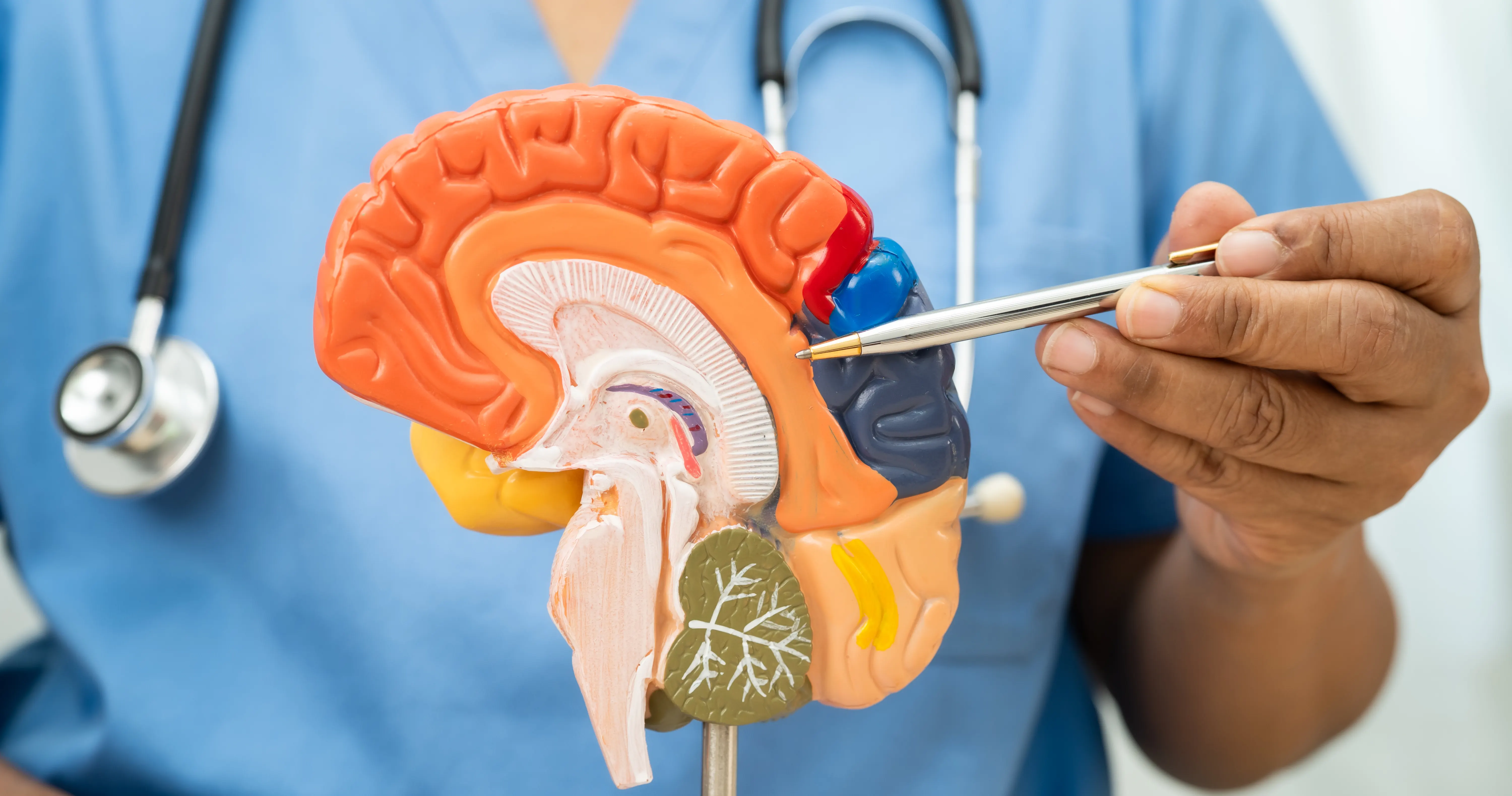 Neurology & Neurosurgery